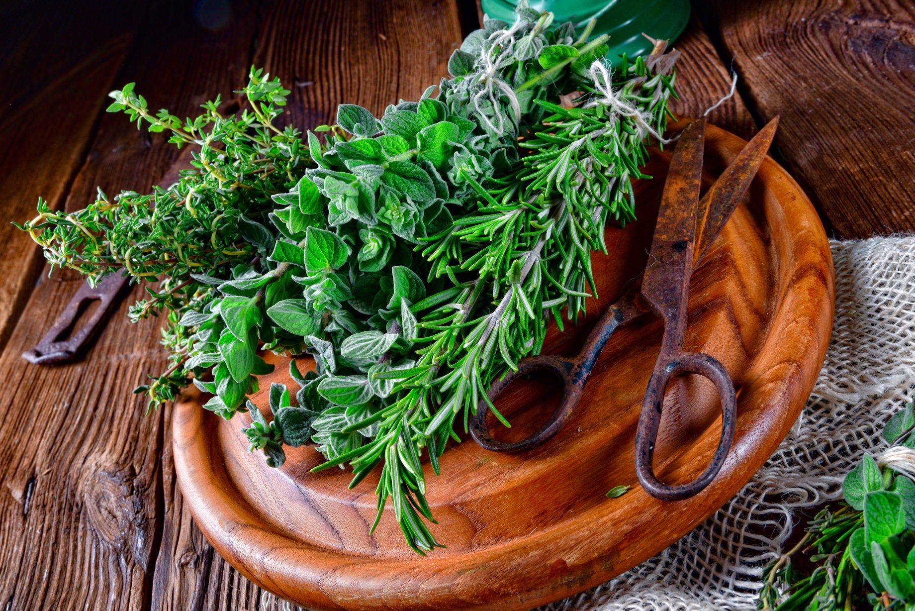 Tuscan herb tosca olive oils and balsamic